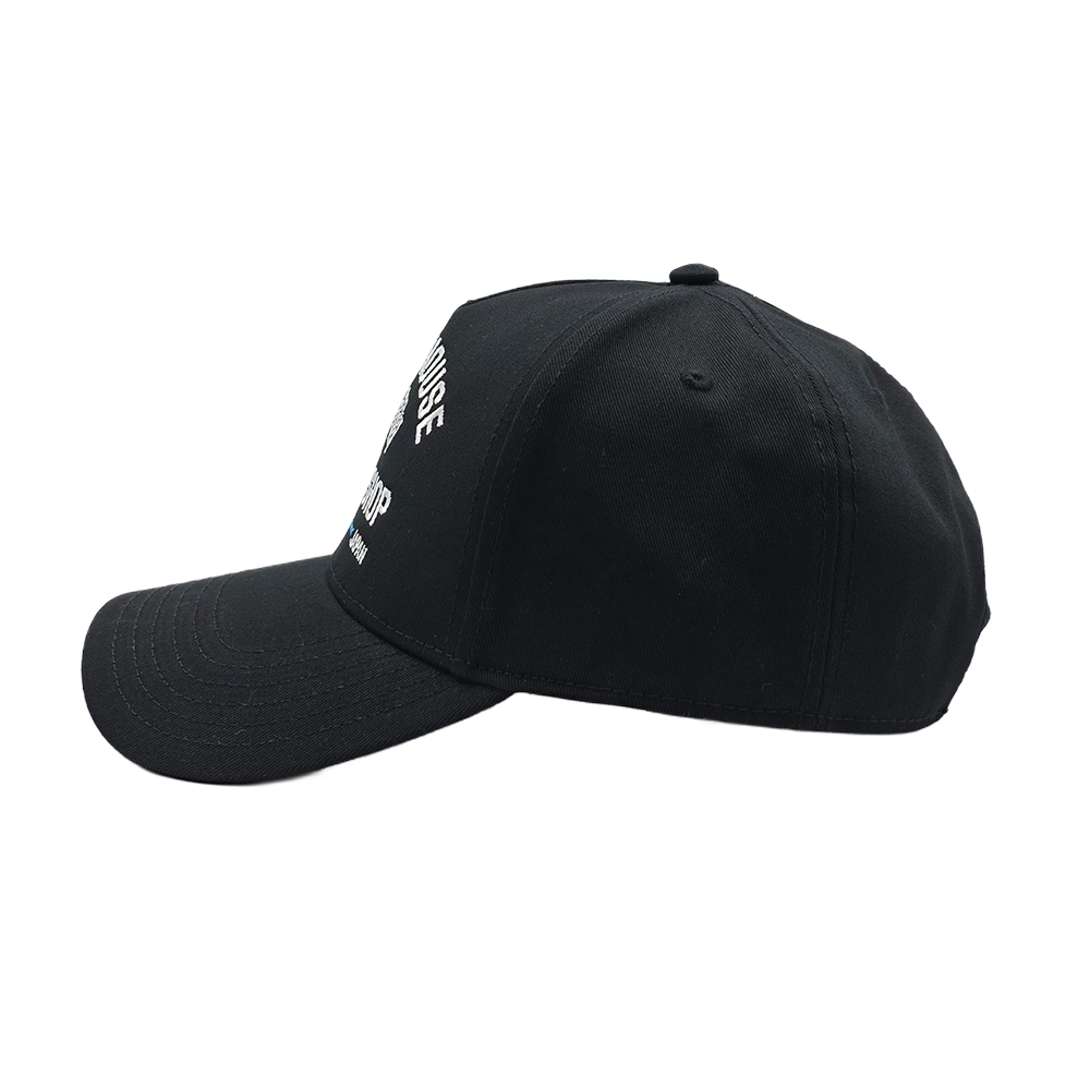THSS25H-001 v3